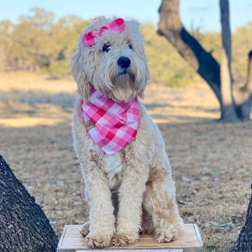 Pink Buffalo Dog Bandana