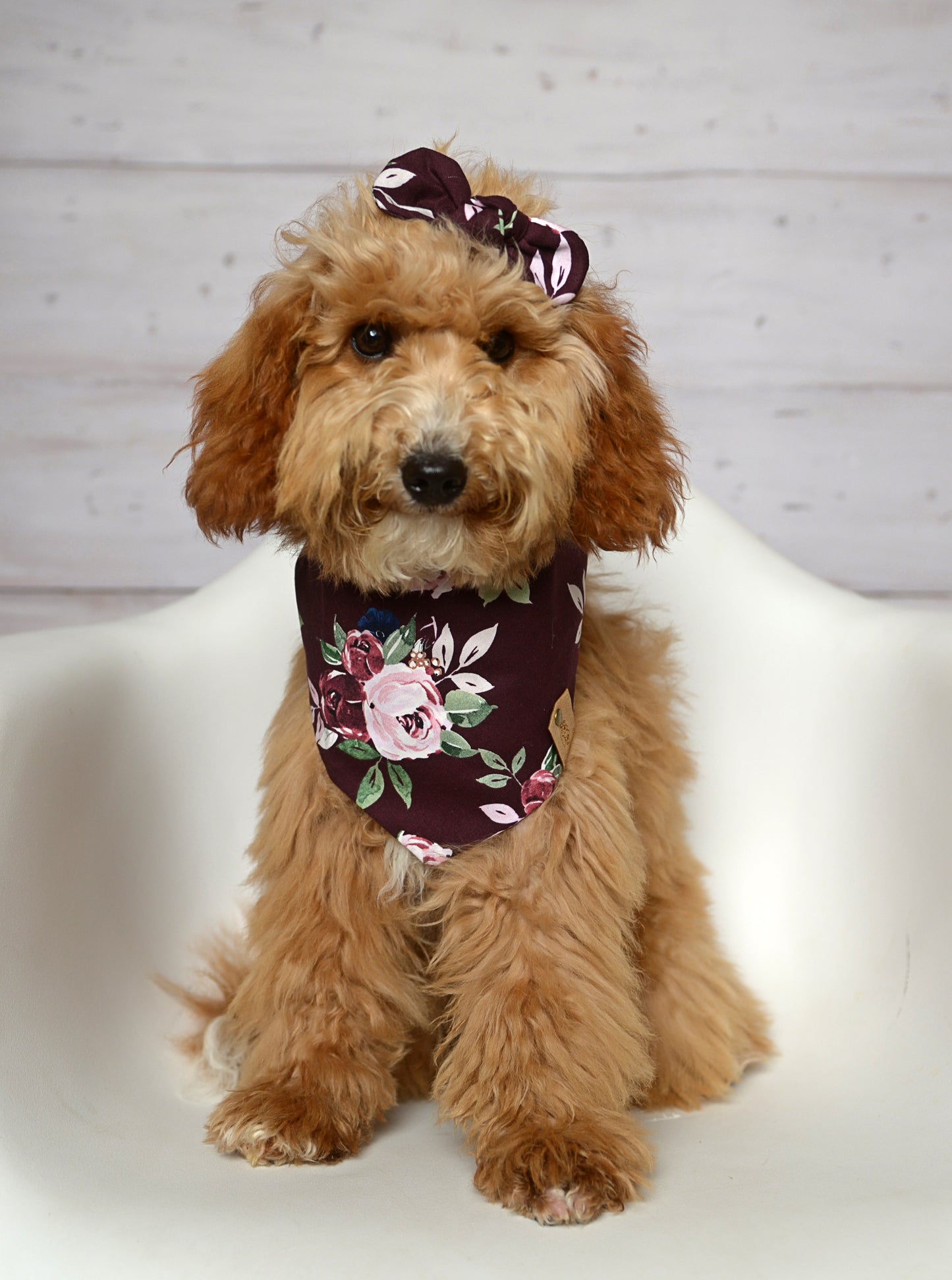 Berry Rose Dog Bandana