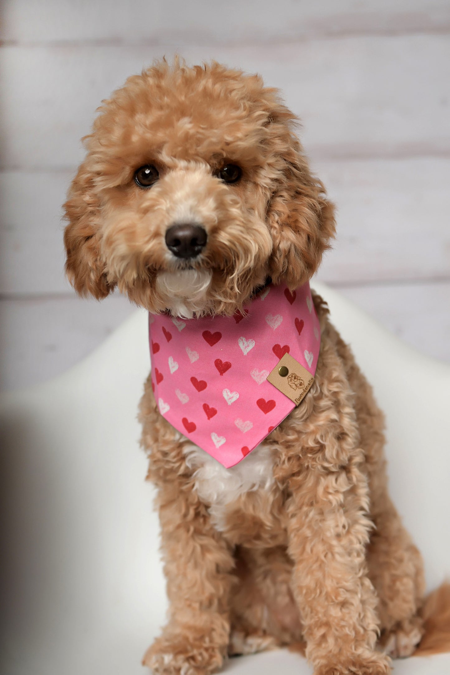 Hearts Valentine Dog Bandana