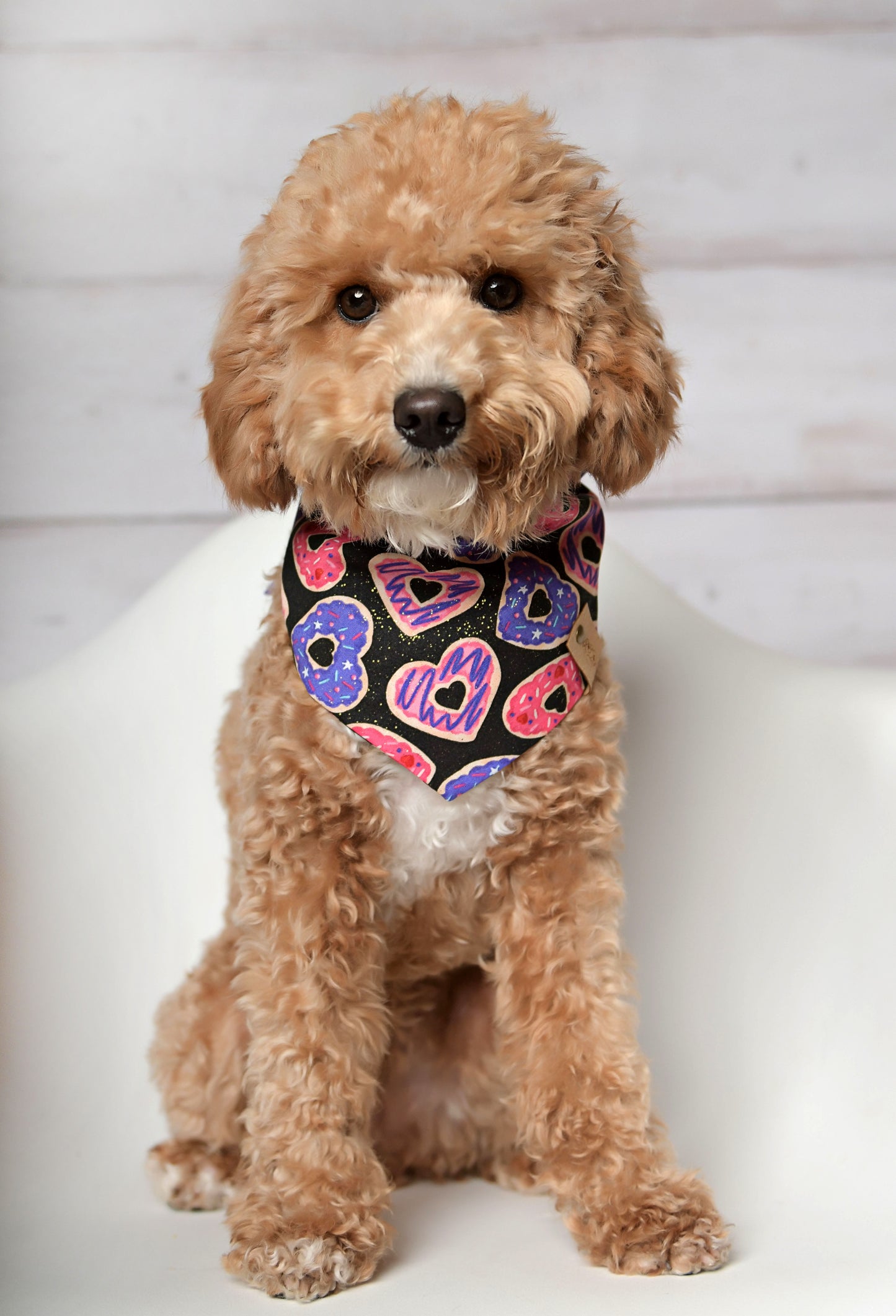 Cookie Hearts Valentine Dog Bandana