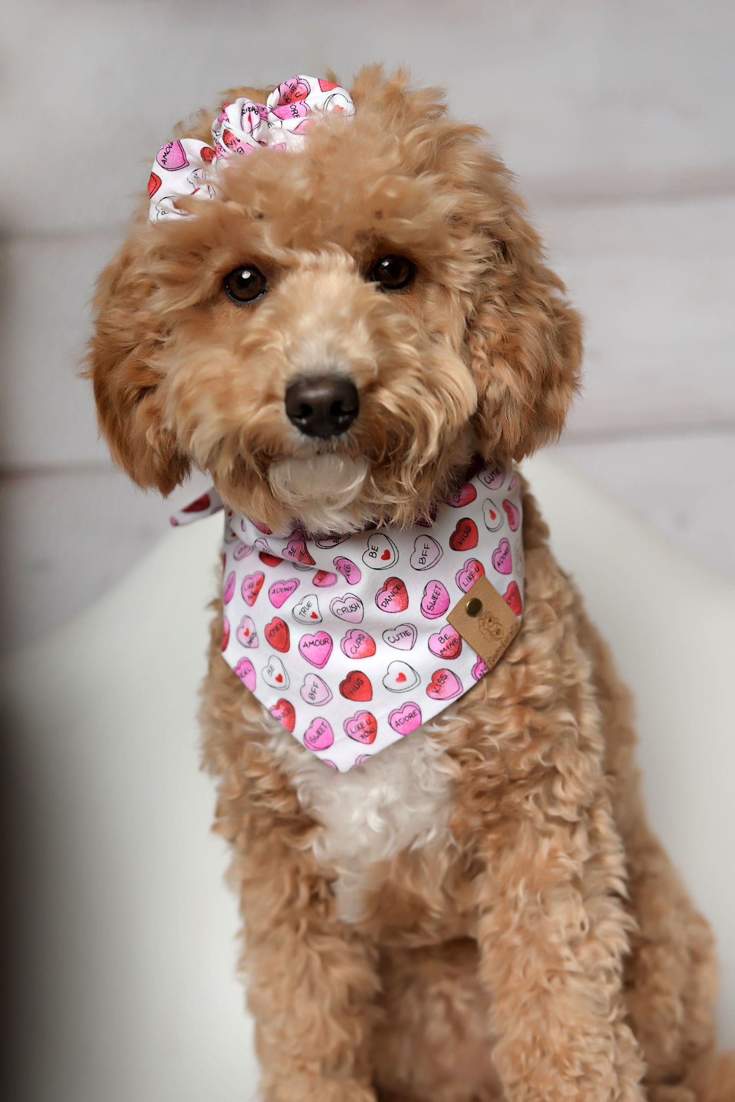 Candy Hearts Valentine Dog Bandana