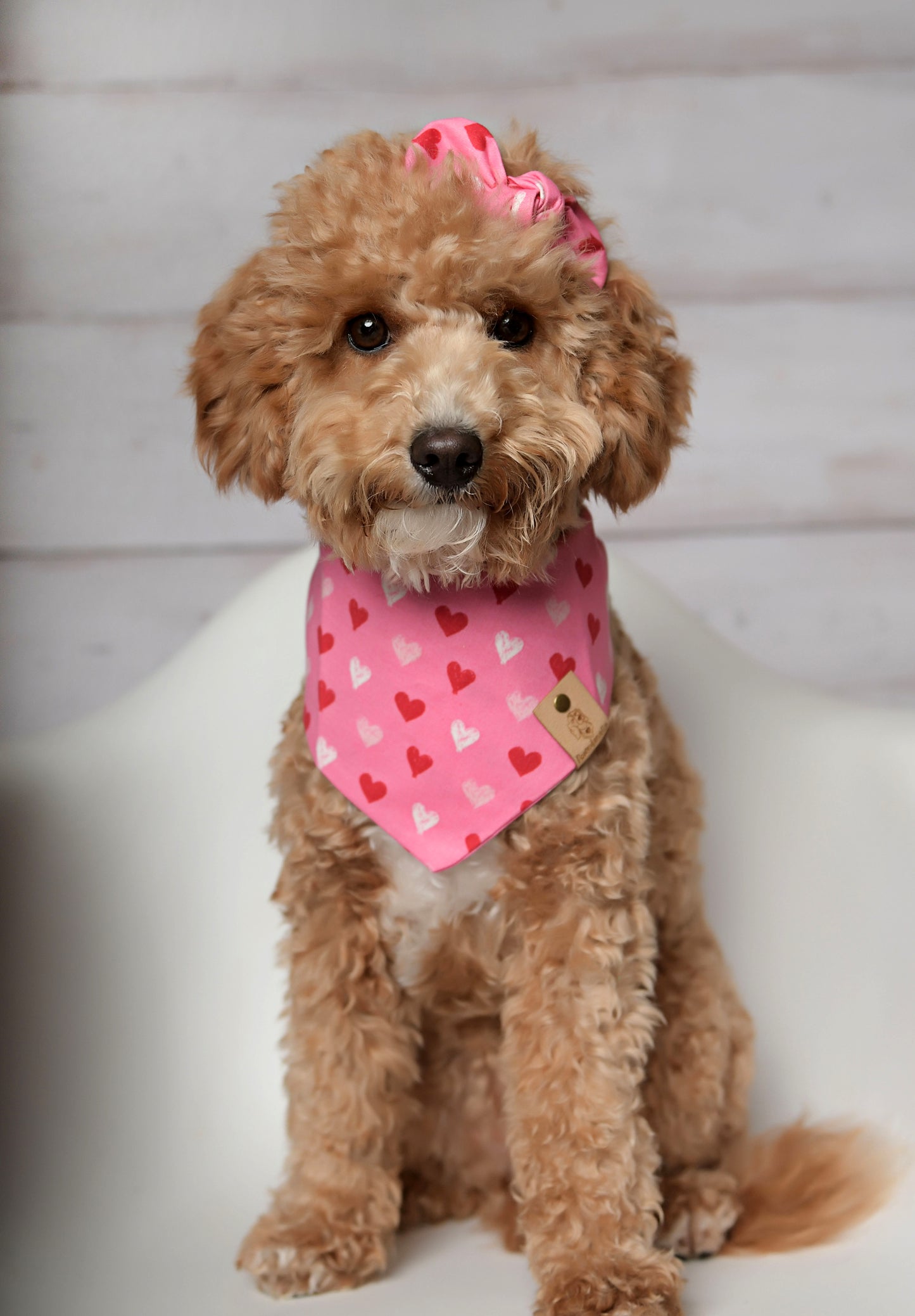 Hearts Valentine Dog Bandana