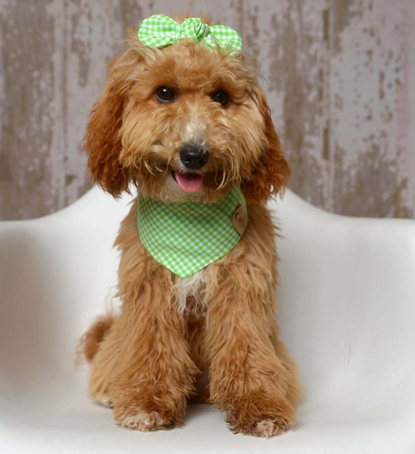 Kiwi Gingham Dog Bandana