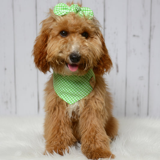 Kiwi Gingham Dog Bandana