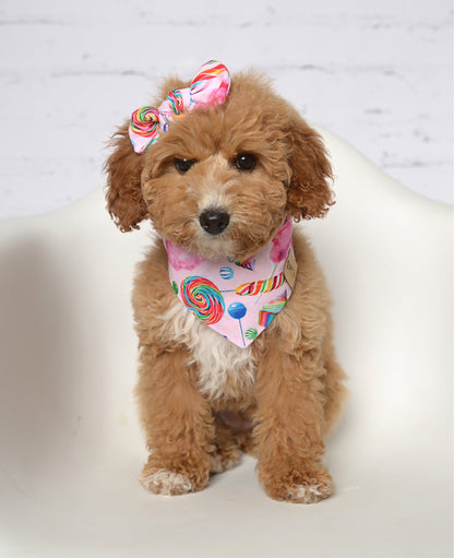 Candy Dog Bandana