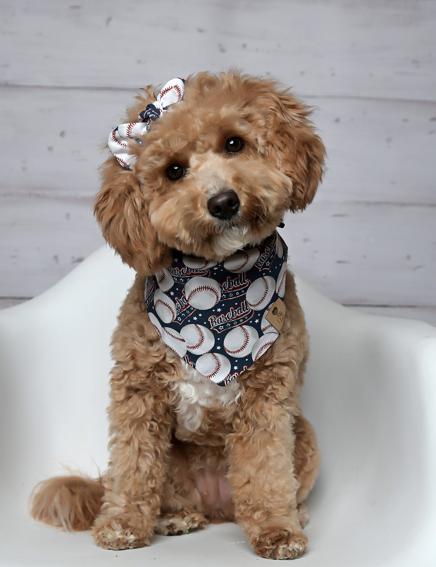 Baseball Dog Bandana