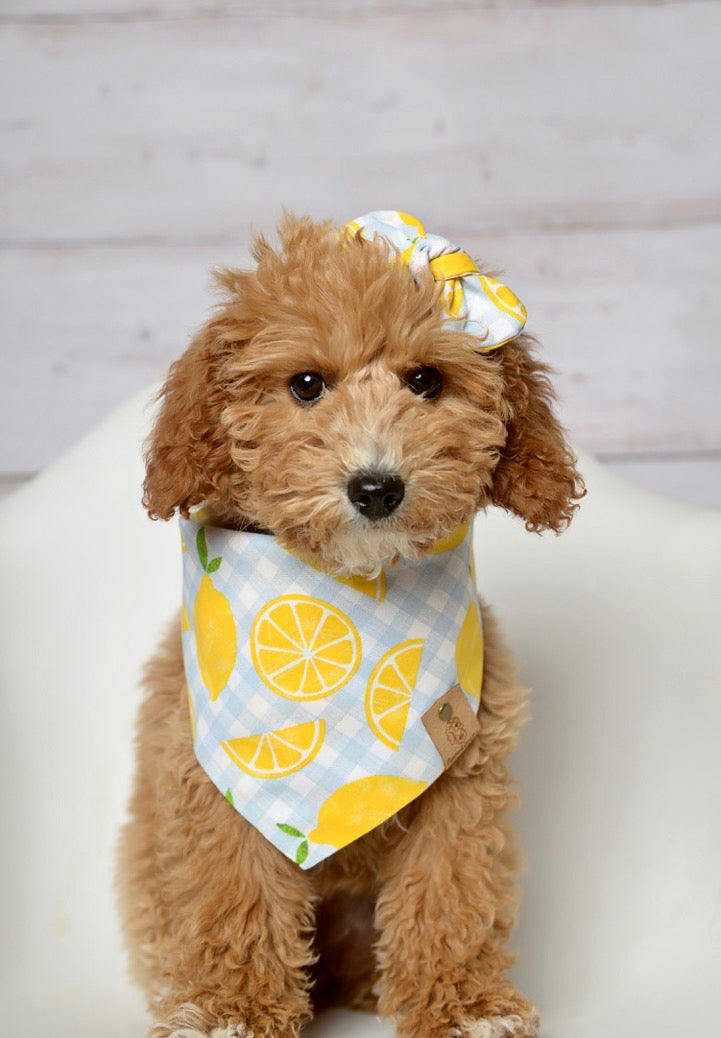 Lemon Gingham Dog Bandana