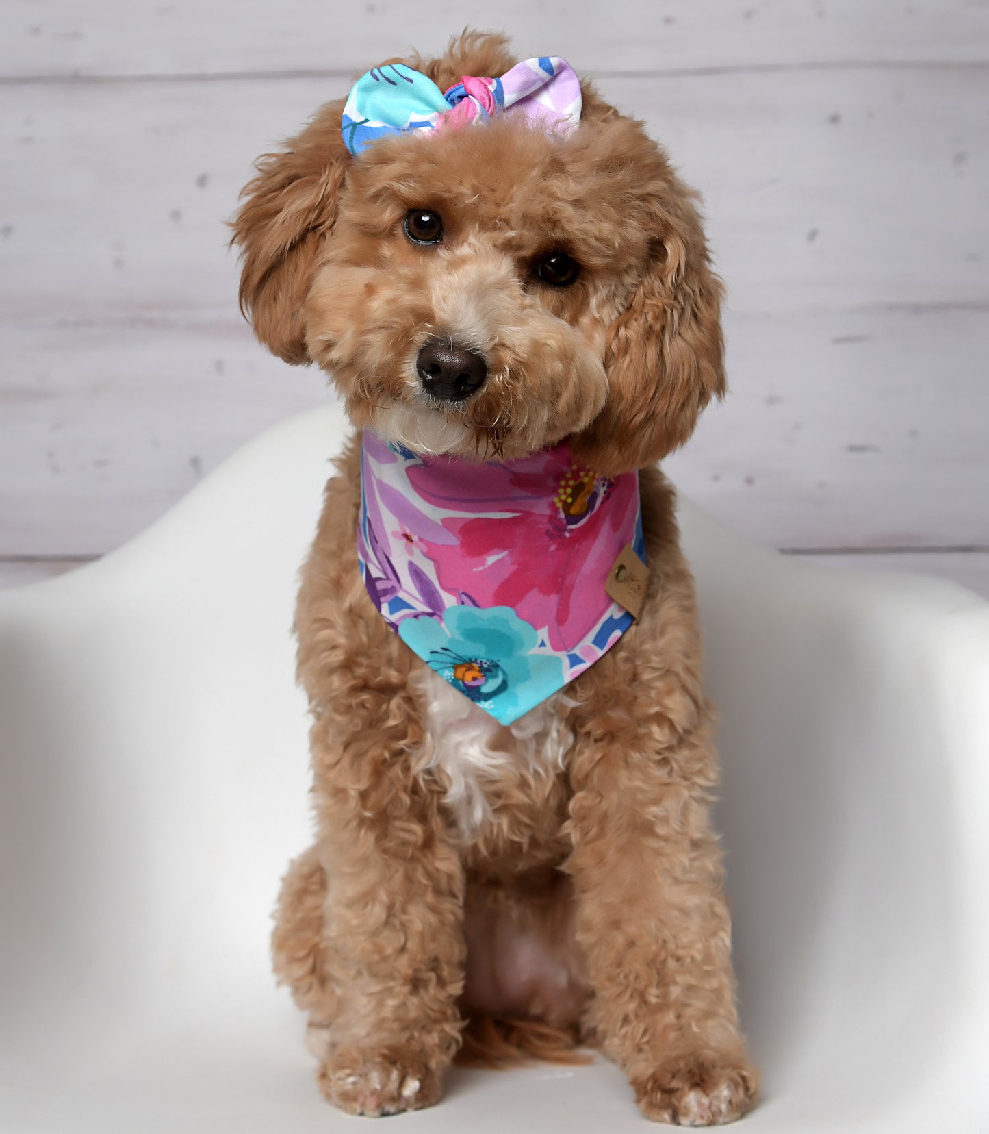 Honolulu Dog Bandana