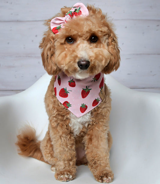 Strawberry Dog Bandana