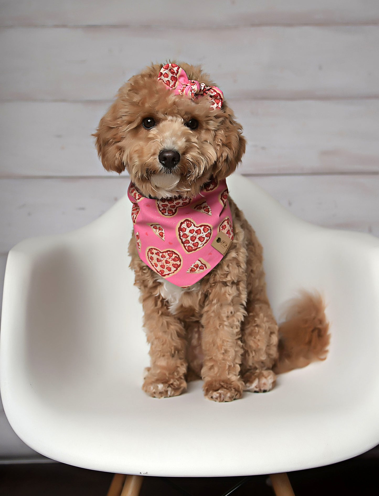 Pizza Hearts Valentine Dog Bandana