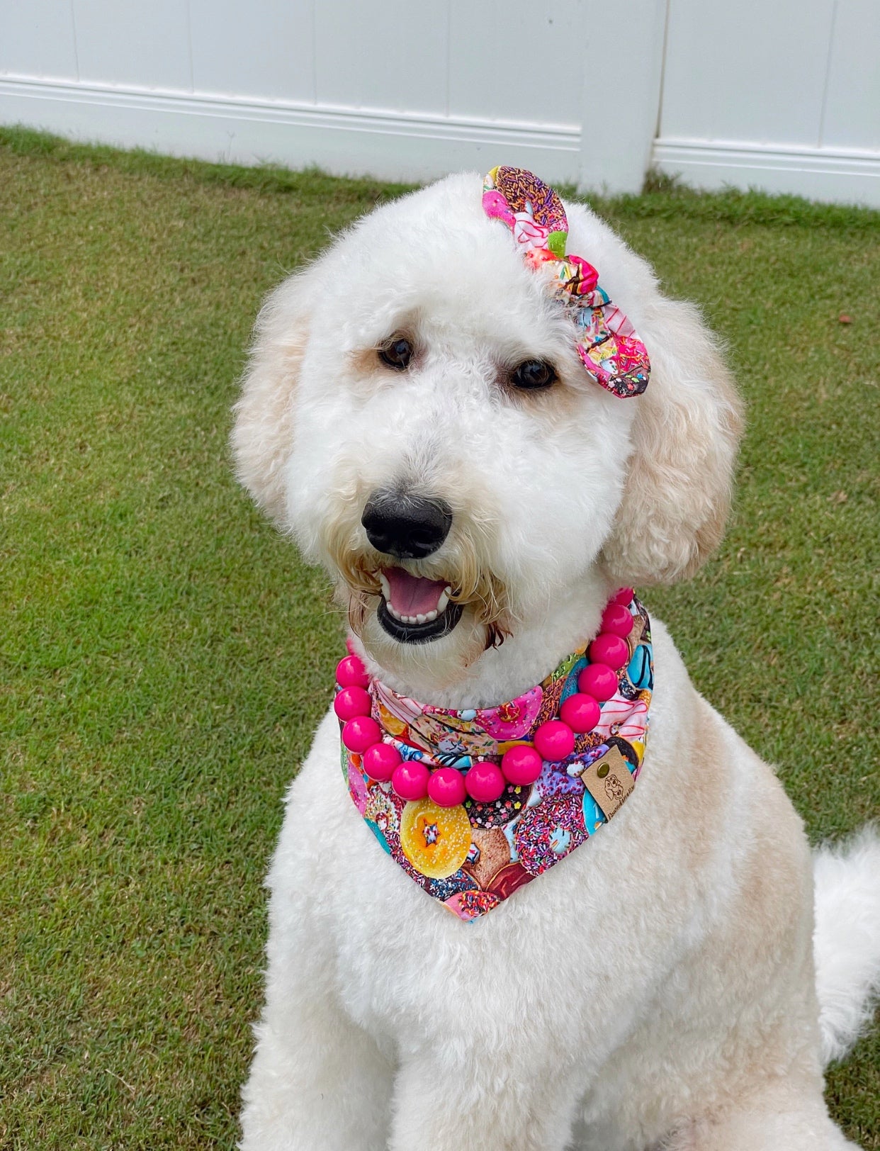 Donuts Dog Bandana