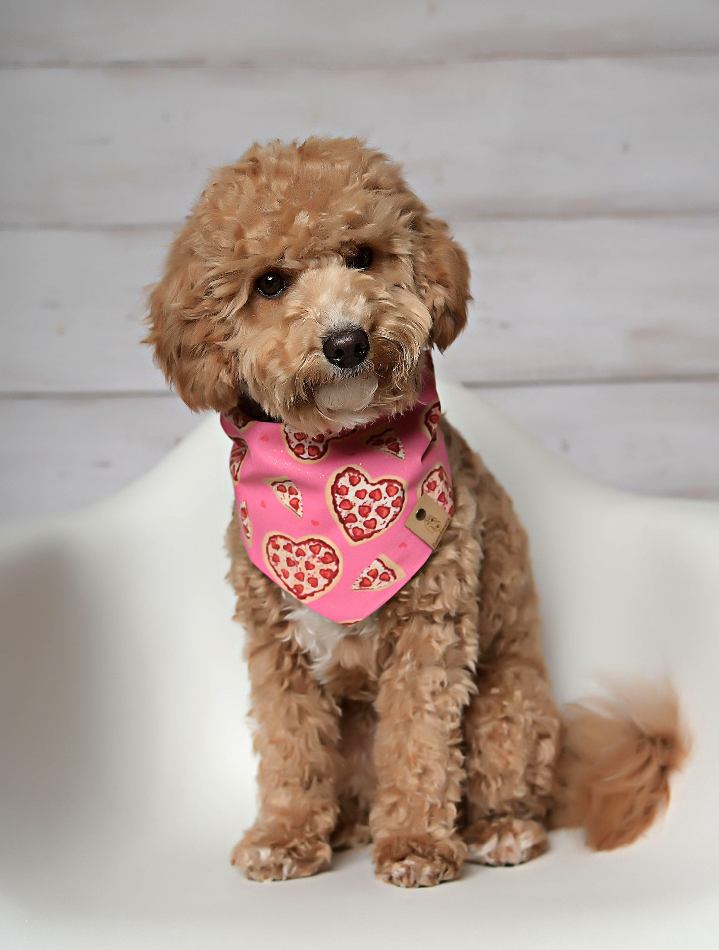 Pizza Hearts Valentine Dog Bandana