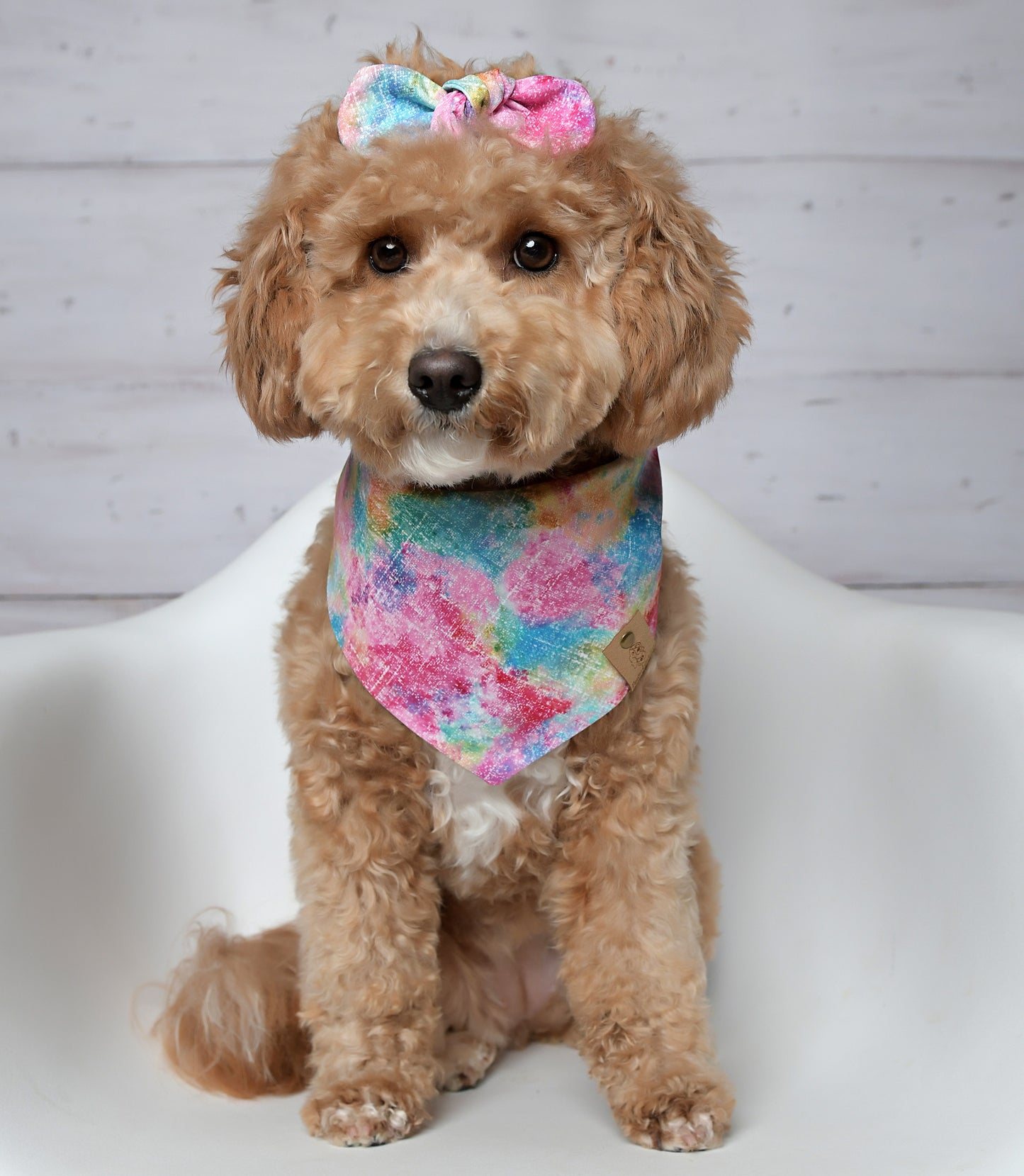 Rainbow Splash Dog Bandana