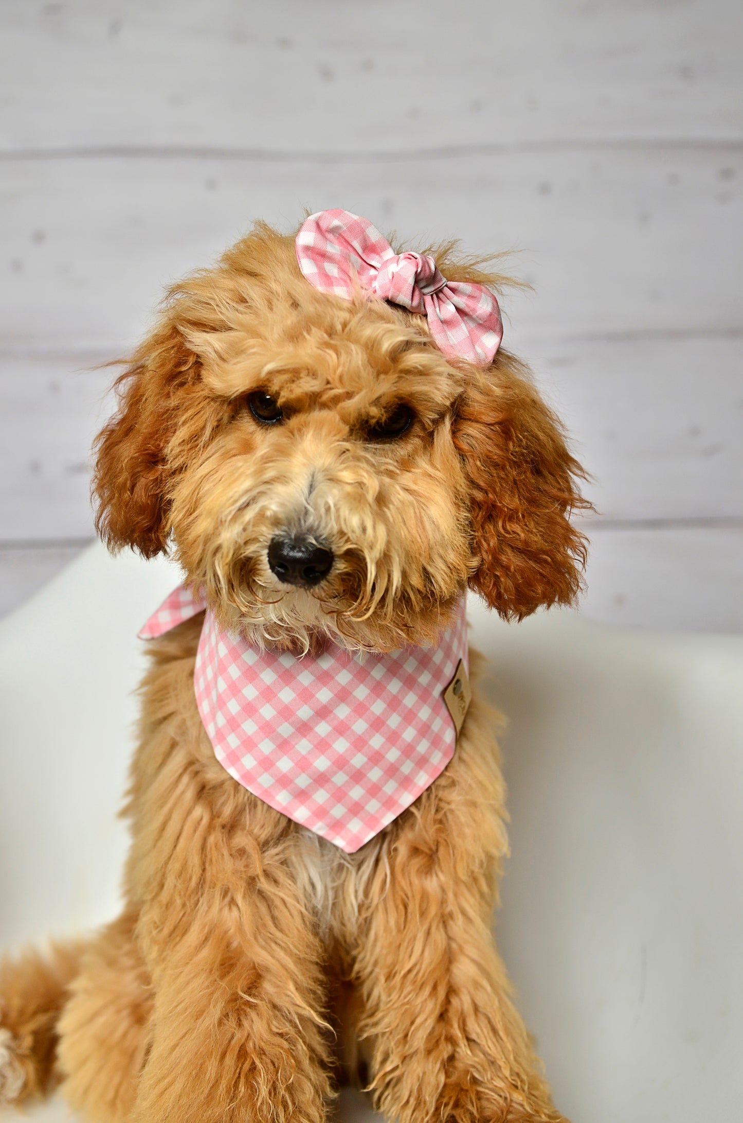 Pink Gingham Check Dog Bandana