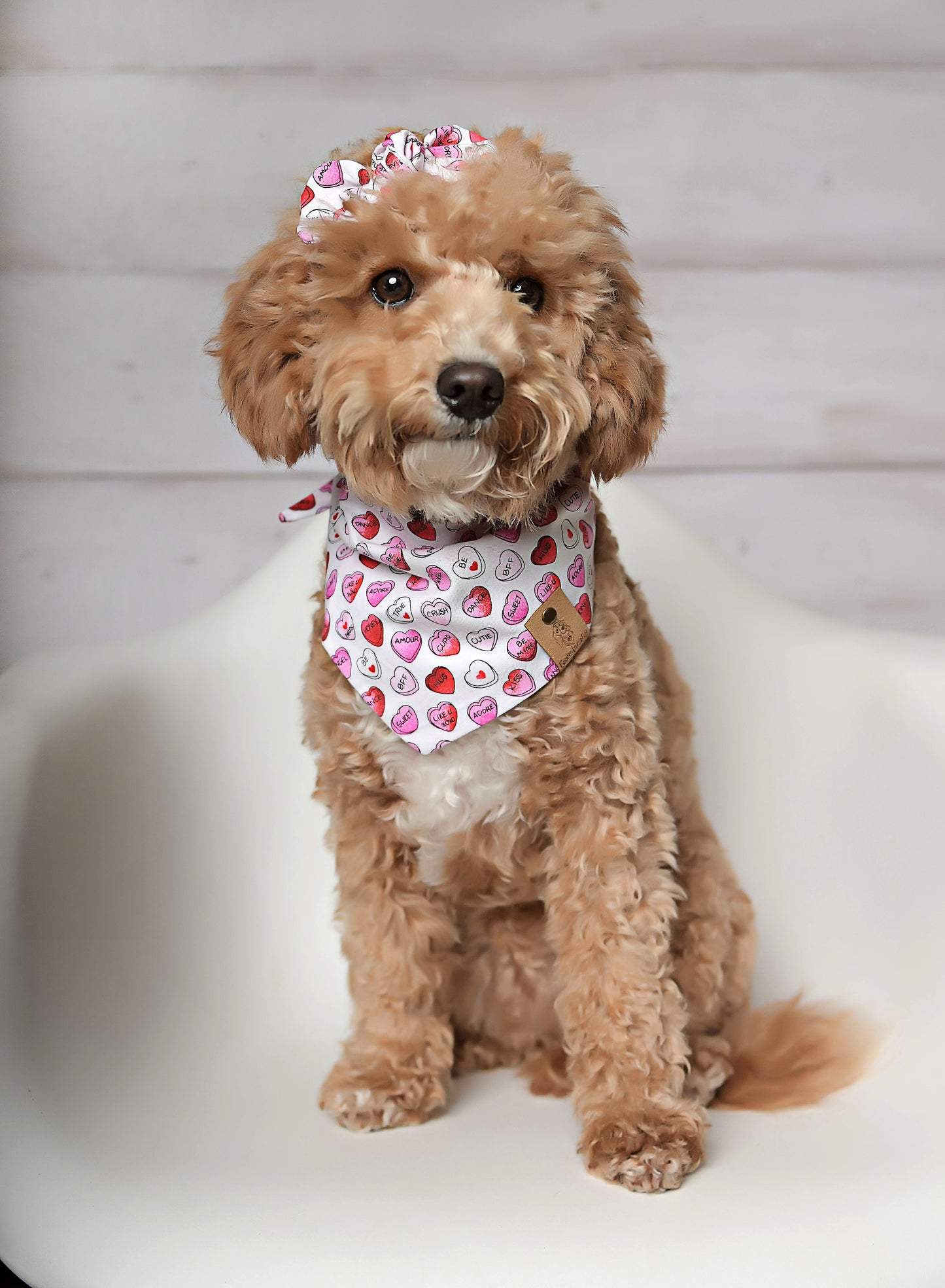 Candy Hearts Valentine Dog Bandana