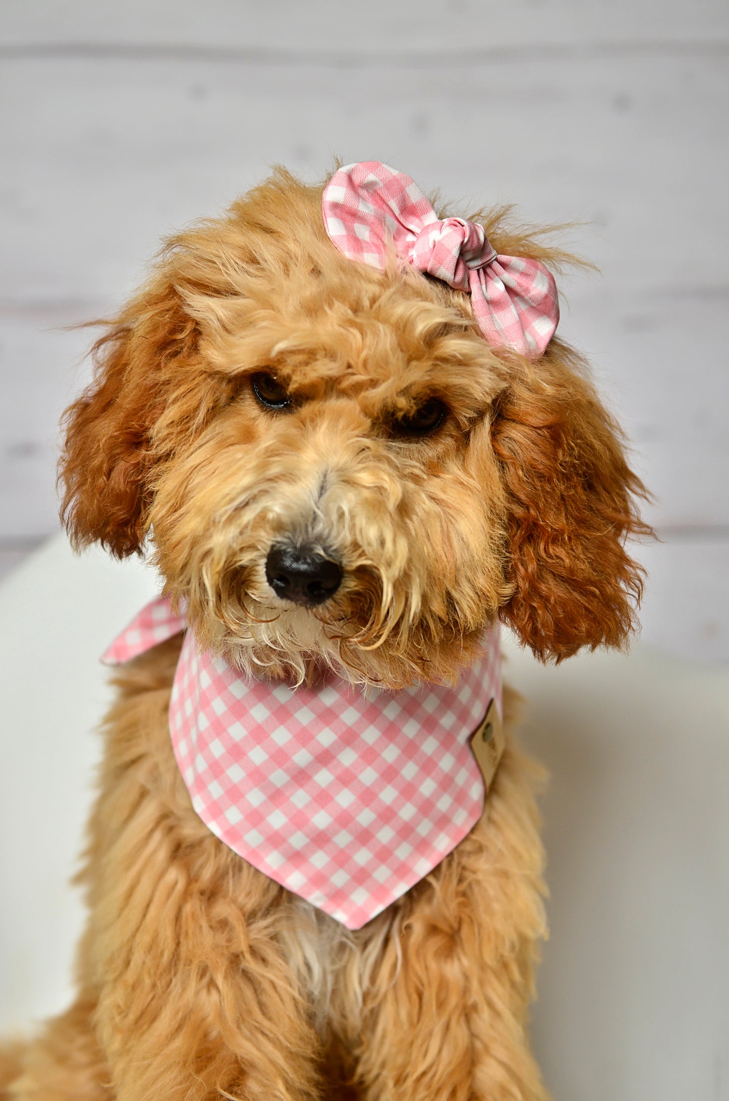 Pink Gingham Check Dog Bandana