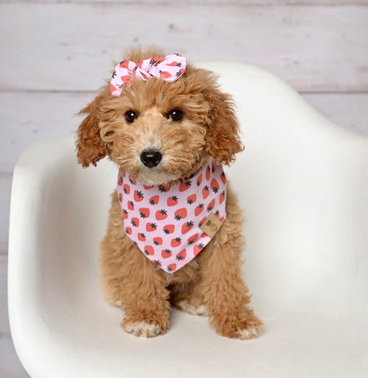 Strawberry Dog Bandana