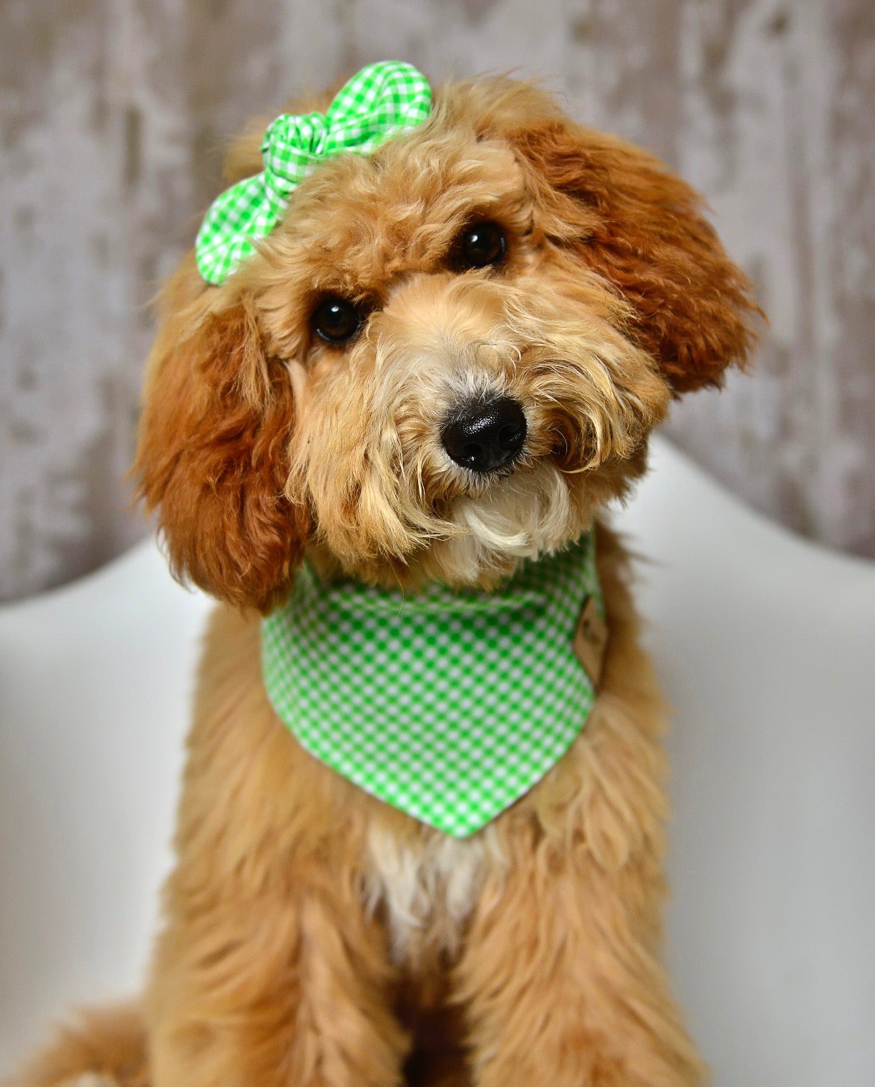 Kiwi Gingham Dog Bandana