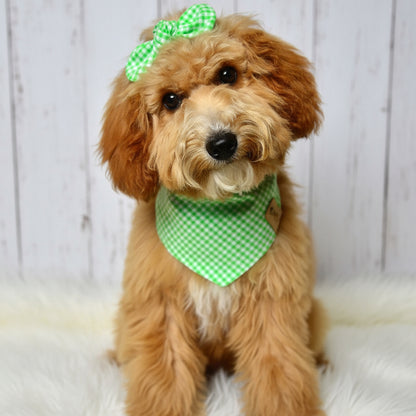 Kiwi Gingham Dog Bandana