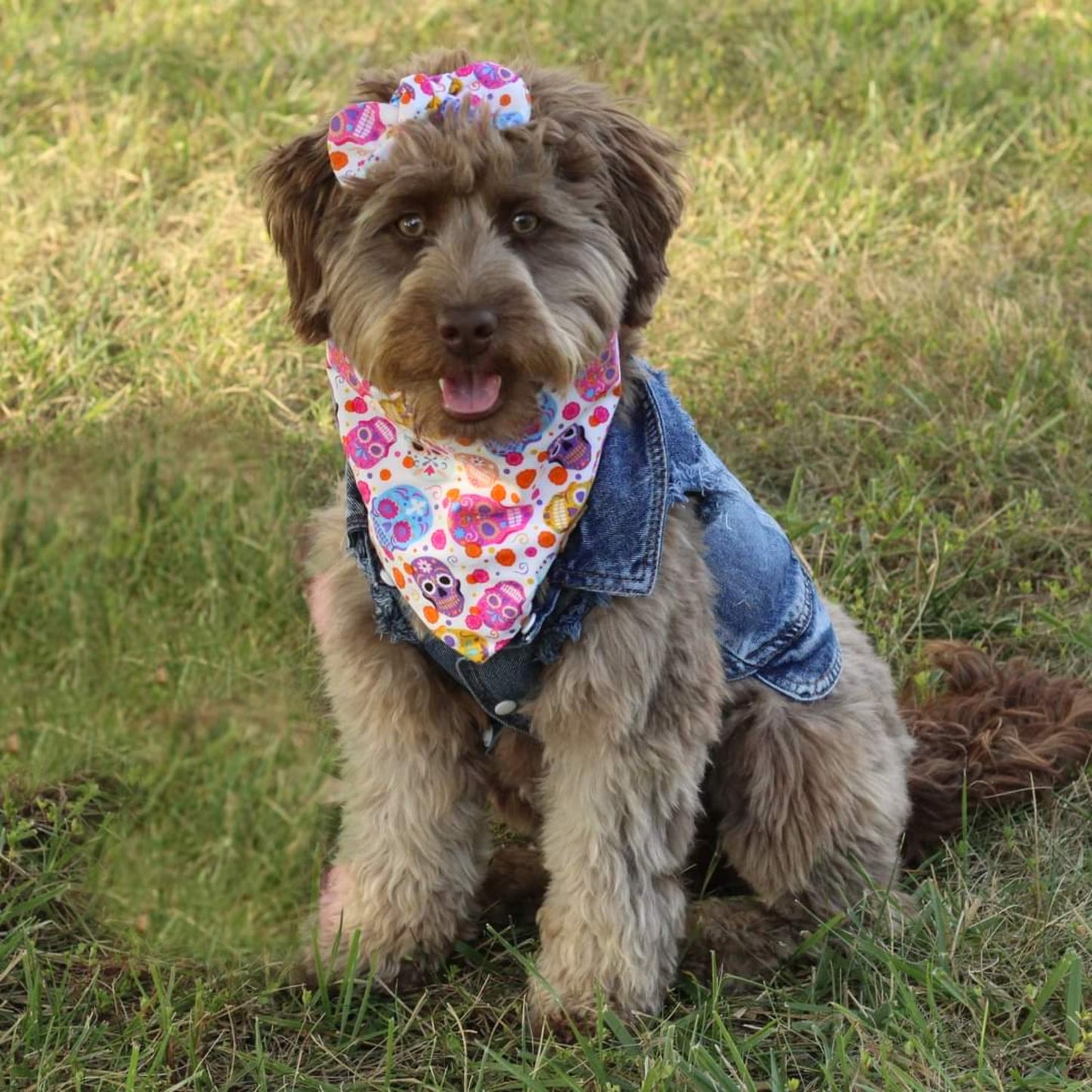 Sugar Skulls Dog Bandana